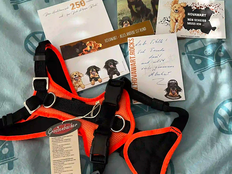 Hundegeschirr und Hundefreunde-Postkarten
