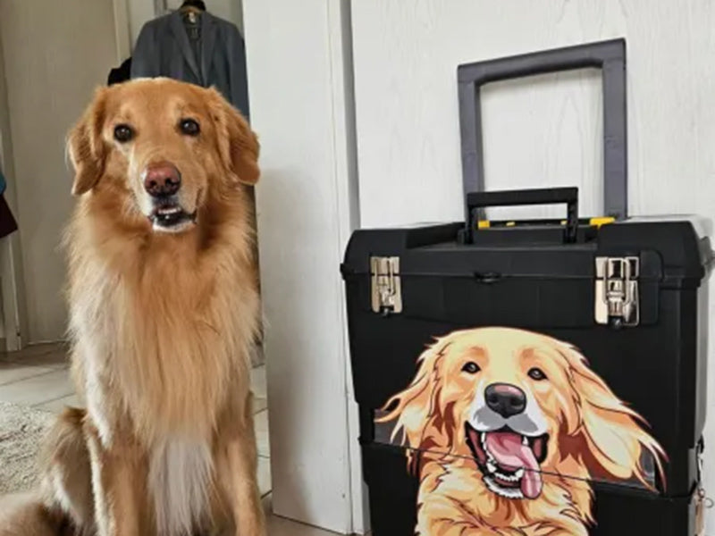 Großer Hund neben Hunde-Transportbox