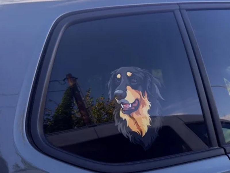 Hundekopf-Aufkleber auf Autofenster