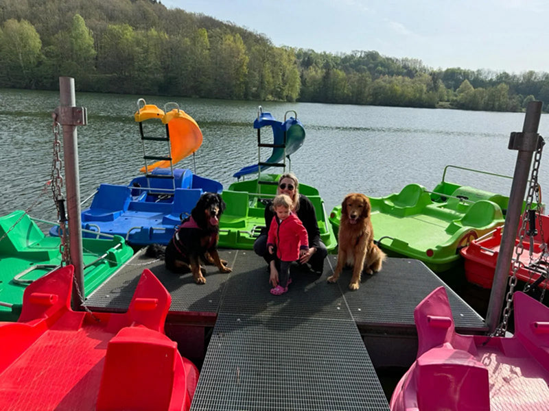 Frau, Kind, große Hunde, Tretboote