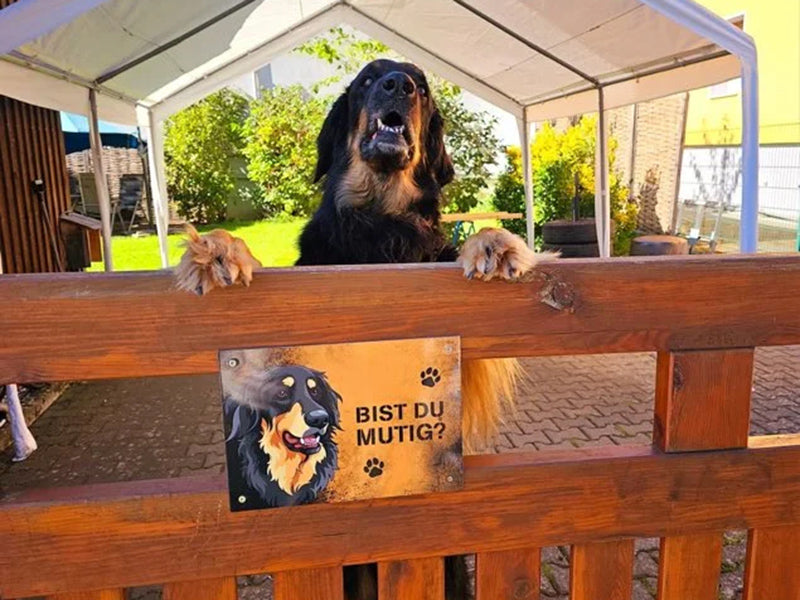 Großer Hund hinter Holzzaun stehend