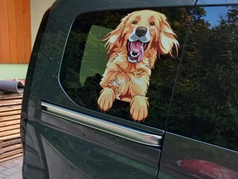 Hundesticker auf Autofenster angebracht