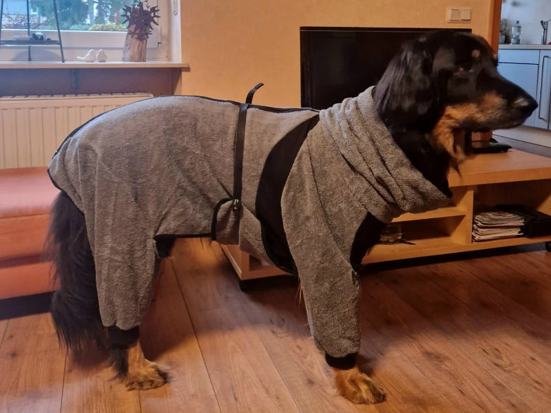 Großer Hund im Hundebademantel
