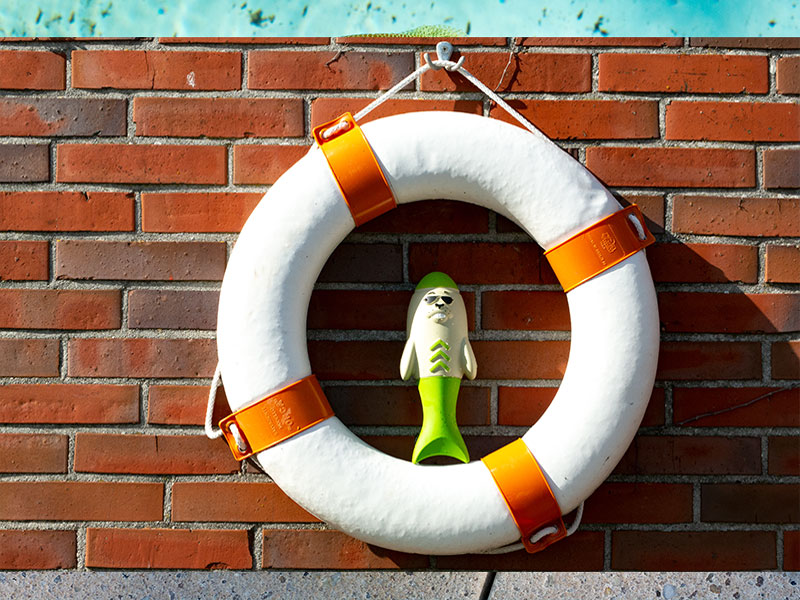 Rettungsring mit Hundewasserspielzeug
