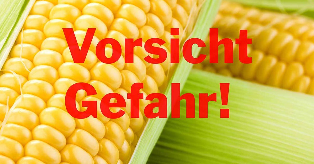 Maiskolben mit dem Text "Vorsicht Gefahr" in rot