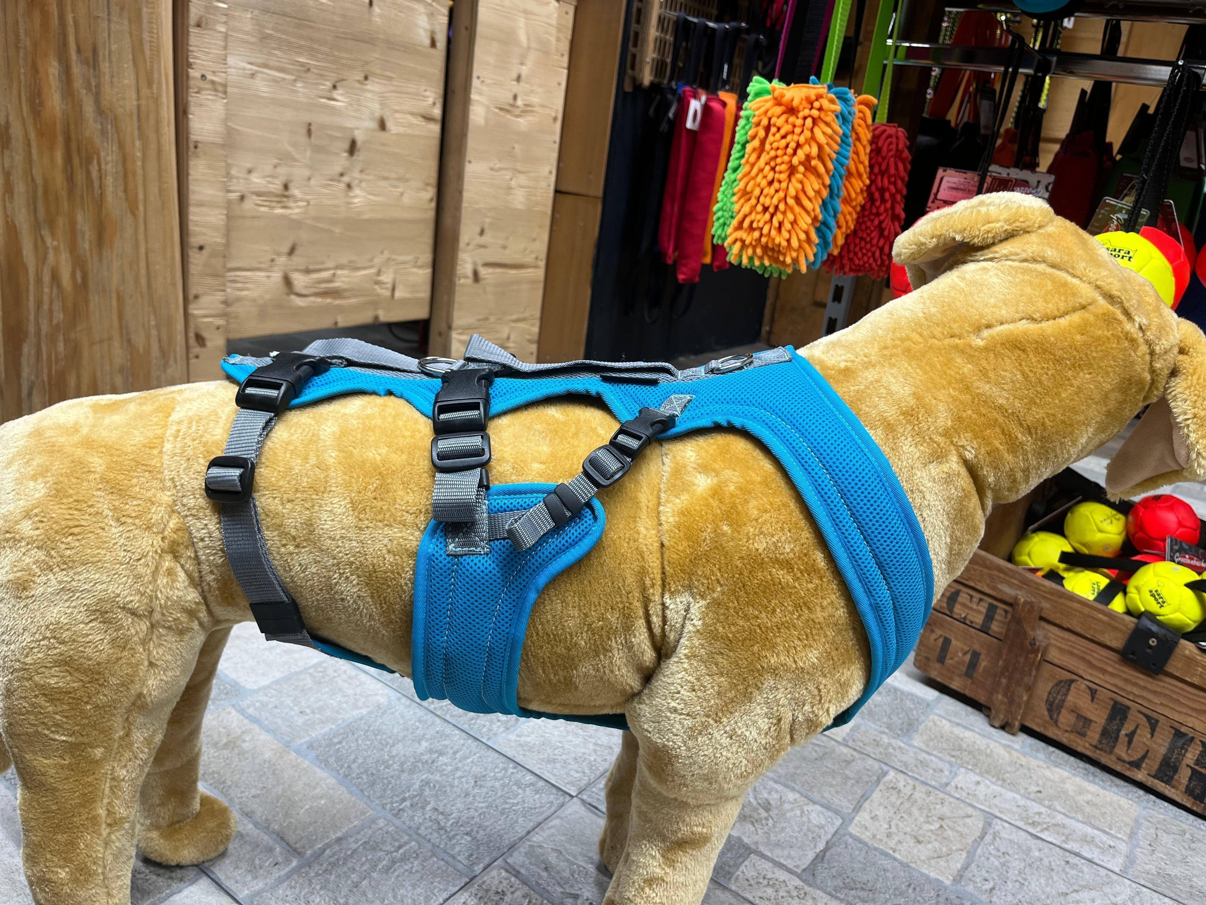 Dreibein Geschirr nach Beinampuation für einen Hund