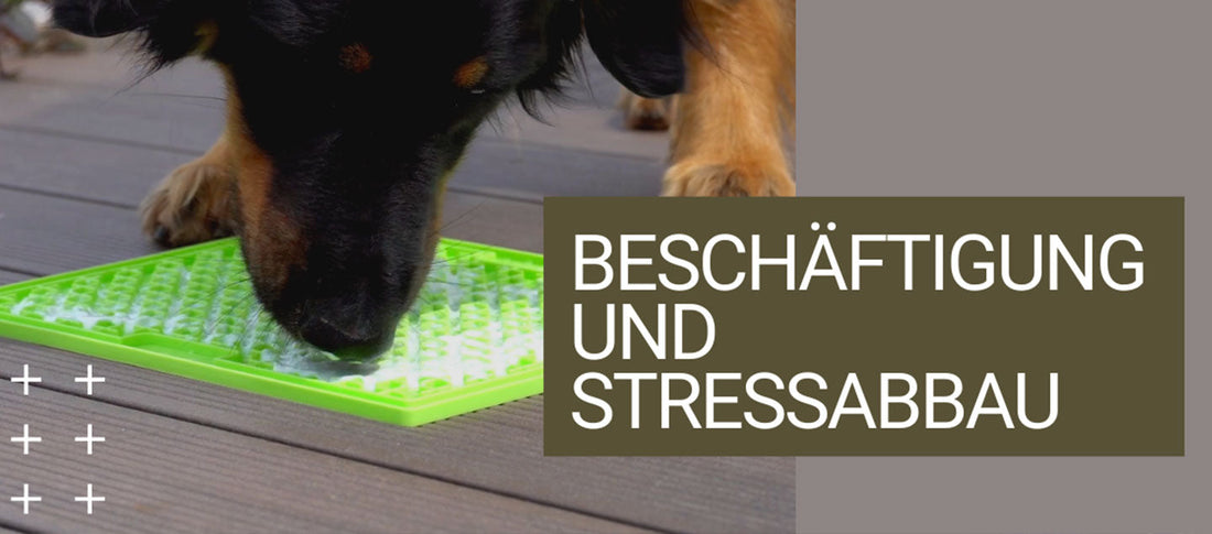 Hovawart beschäftigt sich mit einer Leckmatte auf dem Bild steht "Beschäftigung und Stressabbau"
