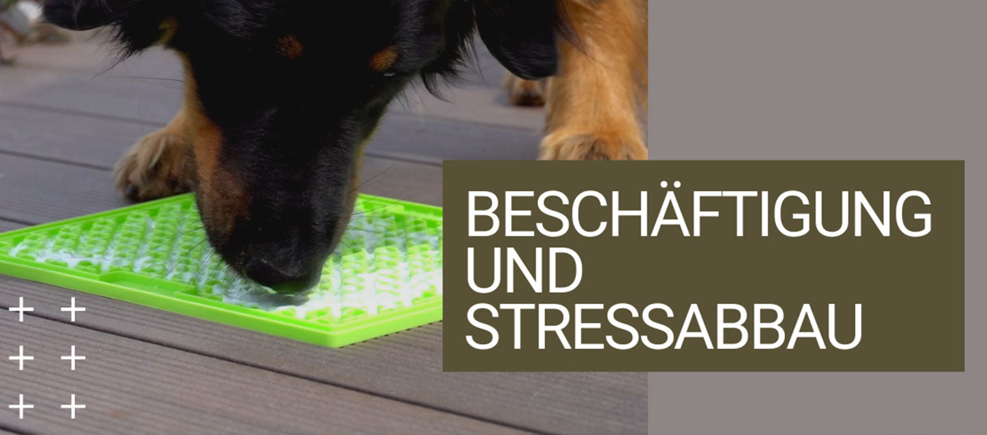 Hovawart beschäftigt sich mit einer Leckmatte auf dem Bild steht "Beschäftigung und Stressabbau"