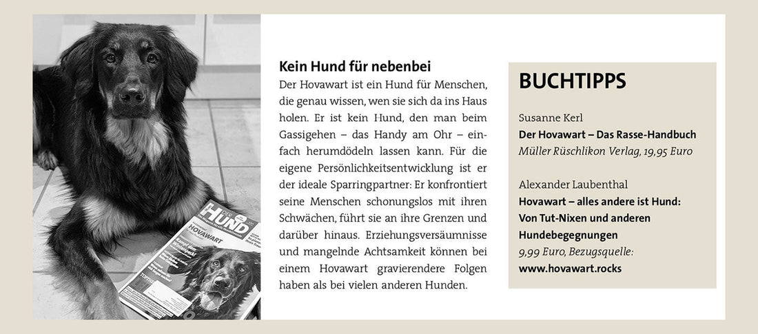 Buchtipp in der Zeitschrift der Hund für Hovawart - alles andere ist Hund
