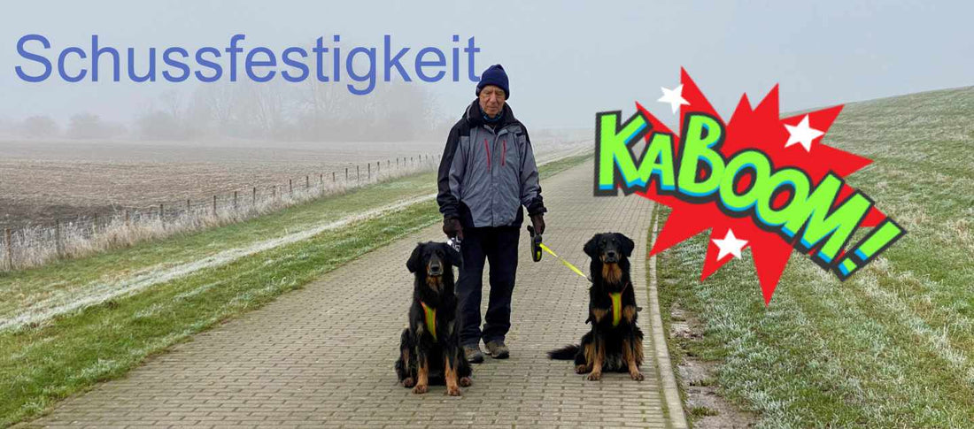 Heinz Laubenthal mit zwei Hovawart am Damm beim üben der Schussfestigkeit