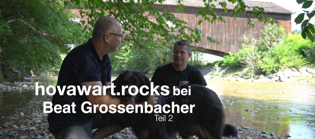 Beat Grossenbacher und Alexander Laubenthal an einem Fluss mit einer Hovawart Hündin