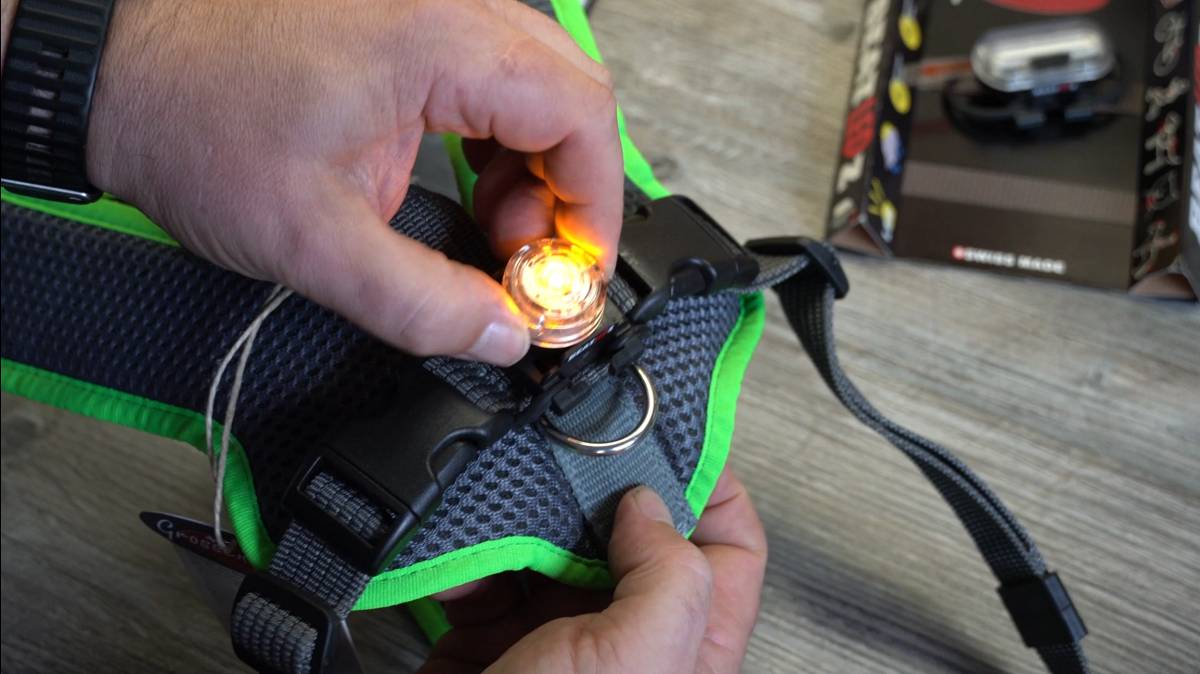 Monatage eines Sicherheitslichtes an einem grau grünen Hundegeschirr
