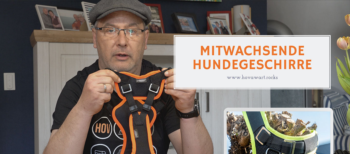 Alexander Laubenthal mit einem Vary Geschirr von Grossenbacher. Auf der Informationstafel steht "Mitwachsende Hundegeschirre" www.hovawart.rocks