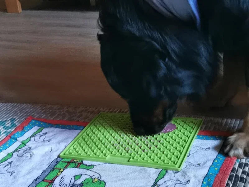 Großer Hund leckt Schleckmatte.