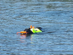 Großer Hund mit Schwimmweste schwimmt