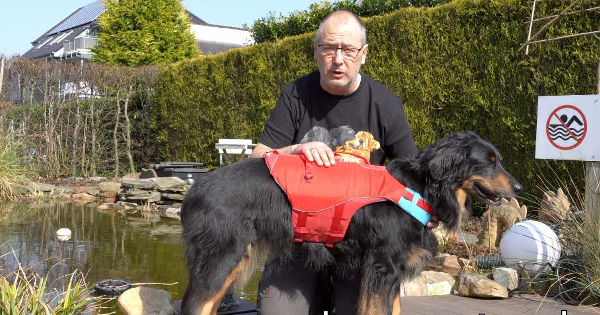 Mann befestigt Hundegeschirr an Hund