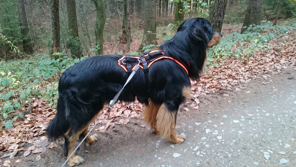 2020_Kundenfotos_HR-40_res40
