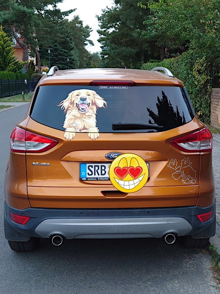 Hovawart blond Aufkleber auf einem Ford Kuga