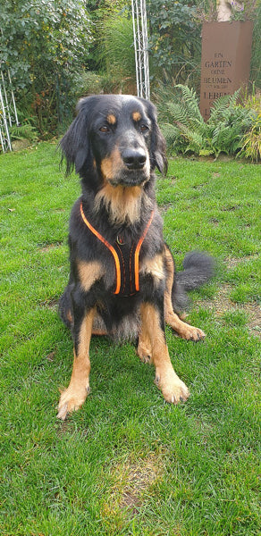 2020_Kundenfotos_HR-28_res28