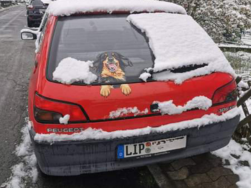 Hundedekor im Auto, verschneit