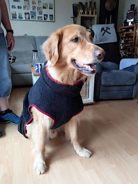 KD_Fotos_Hovawart_220720201