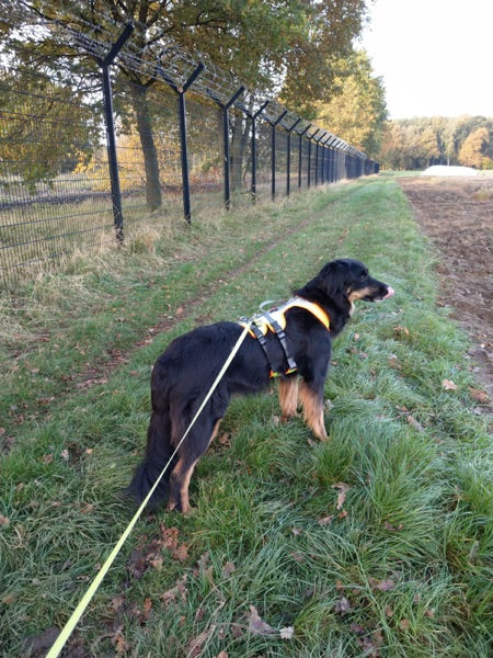 KD_Fotos 081120205