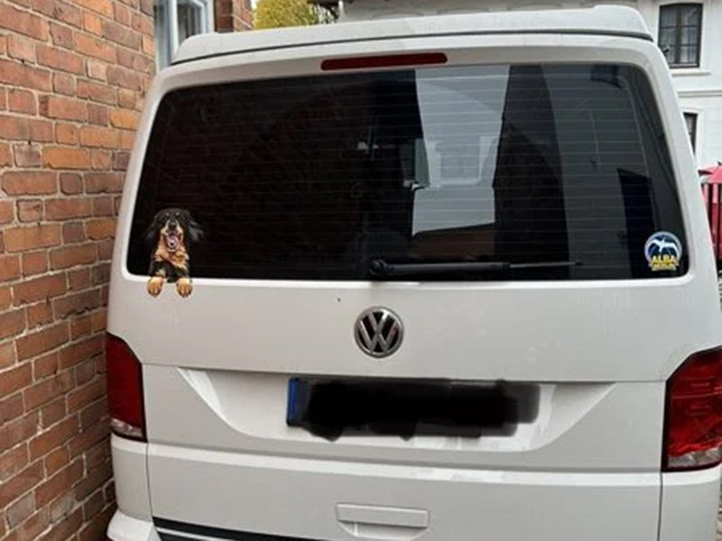 Hundesticker auf weißem VW-Bus