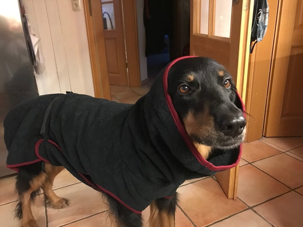 Hundebademantel an einem Hovawart