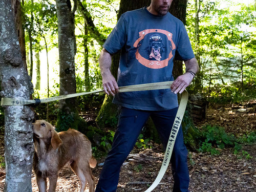 Hovawart T-Shirt