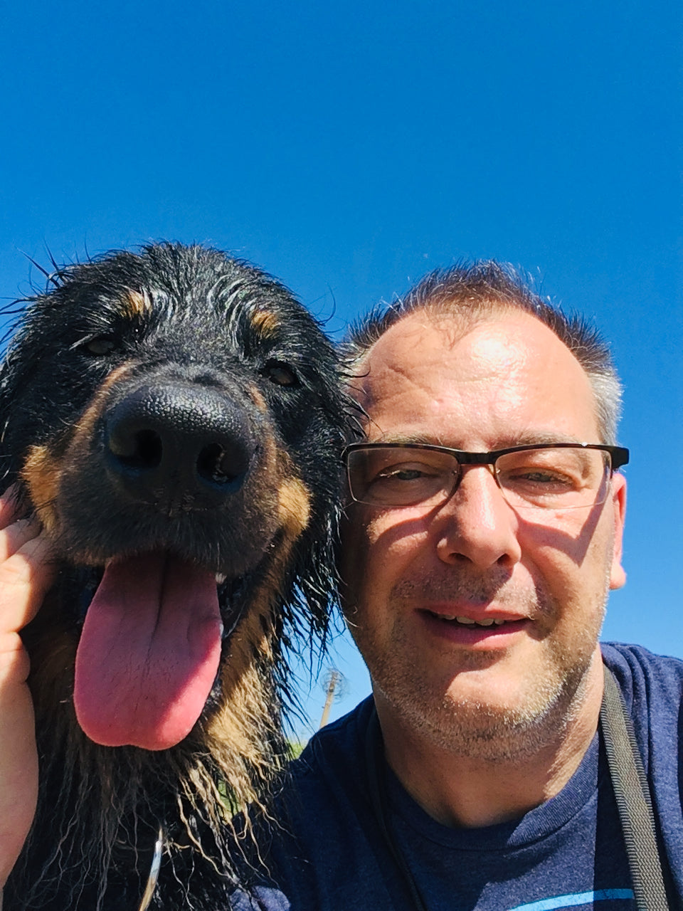 Mann mit großem Hund draußen