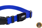 AirTag-Tasche, schwarz, am leuchtend blauen Biothane-Halsband mit schwarzer Kunststoffschnalle.