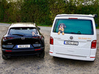Hovawartaufkleber in zwei Größen auf einem VW Bus und einem Mazda CX30