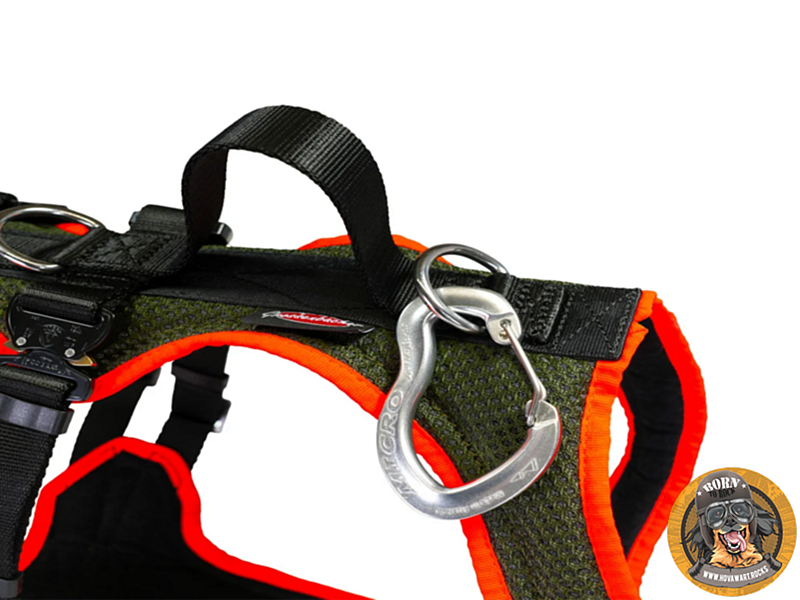 Karabiner am Autosicherheitsgeschirr