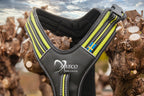 Axaeco Hundegschirr