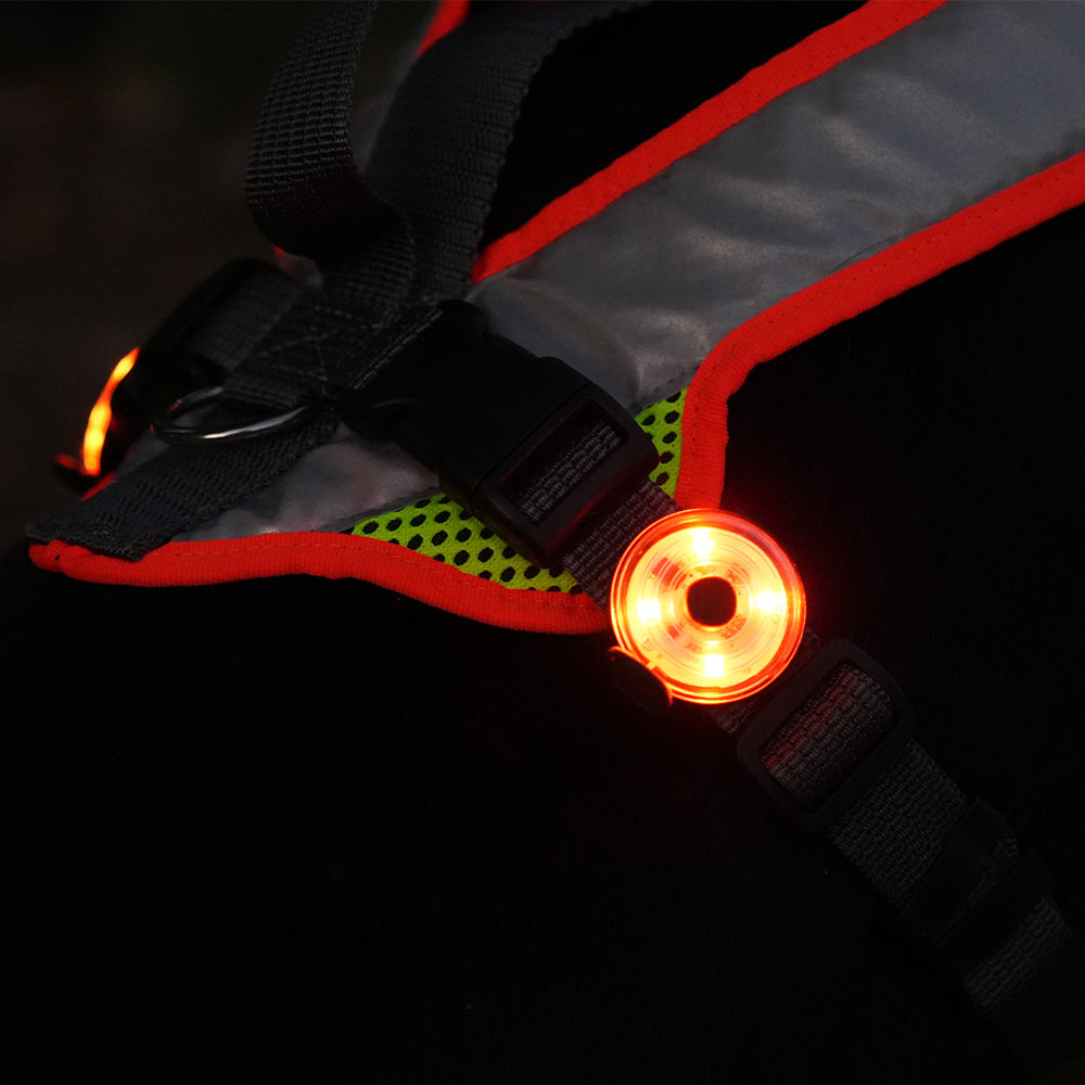 gelb leuchtende SG-4 Lampe an einem Grossenbacher Geschirr