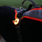 LED Lampe an einem Grossenbacher Geschirr