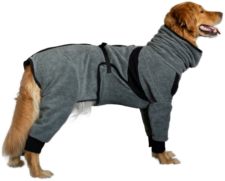 Großer Hund im Hundemantel