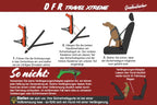 Bedienungsanleitung Autosicherheitsgeschirr für Hunde