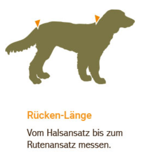 Hund Silhouette Rückenlänge Messanleitung