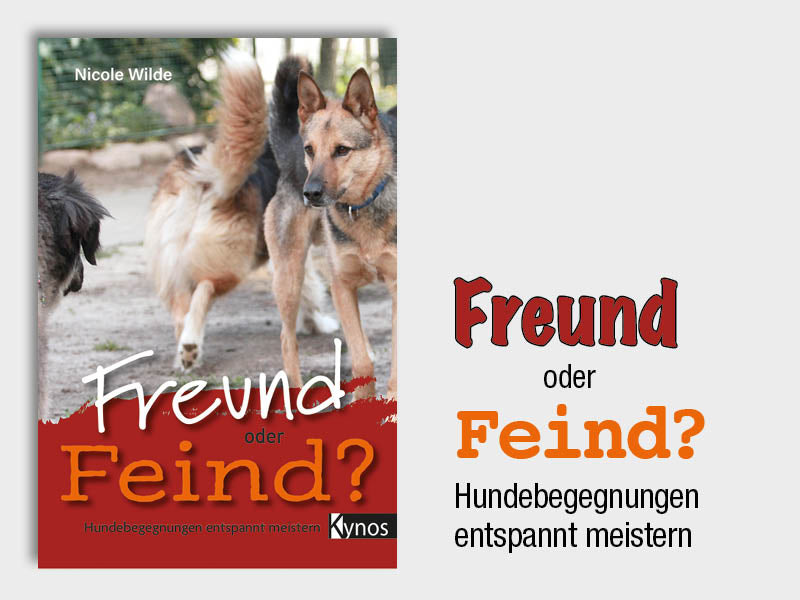 reund oder Feind? Hundebegegnungen entspannt meistern von Nicole Wilde. Ratgeber für Hundebegegnungen, Leinenaggression, reaktive Hunde und gewaltfreies Hundetraining