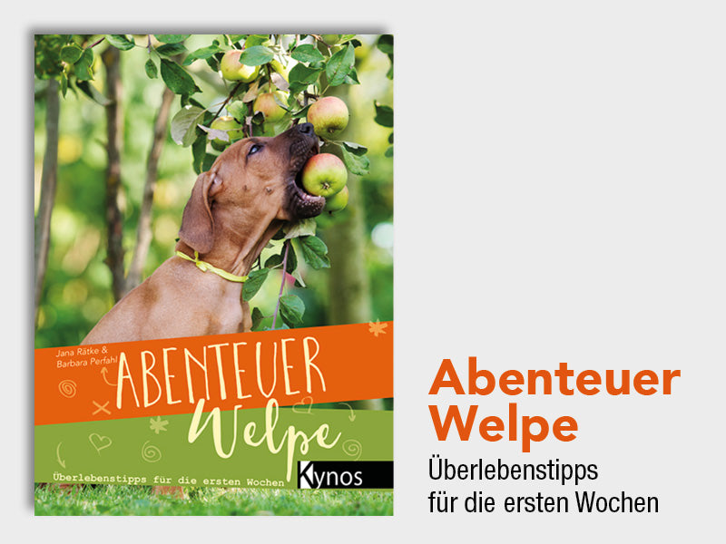 Welpen Buch