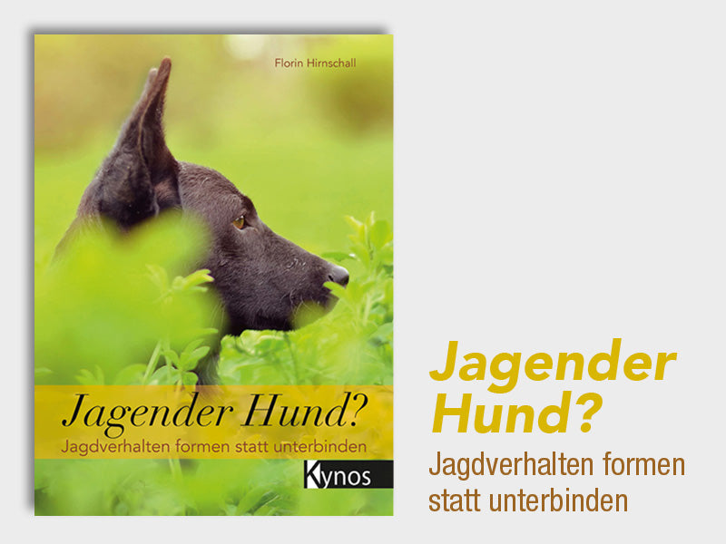 Buch Jagender Hund