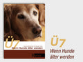 Buch Wenn Hunde älter werden