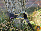 Campingleine an einem Baum befestigt