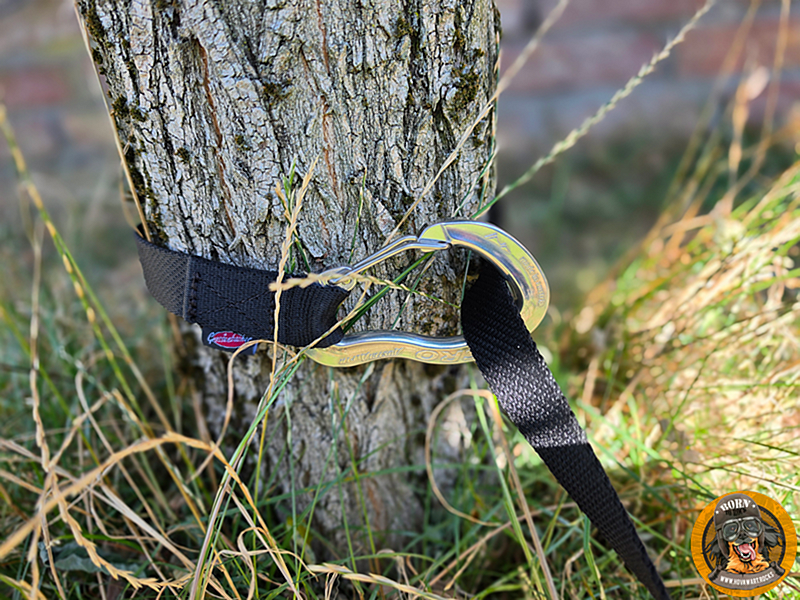 Campingleine an einem Baum befestigt