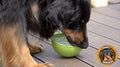 Hovawart mit dem Wobble von LickiMat