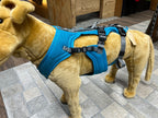 Hundegeschirr an großem Hundemodell