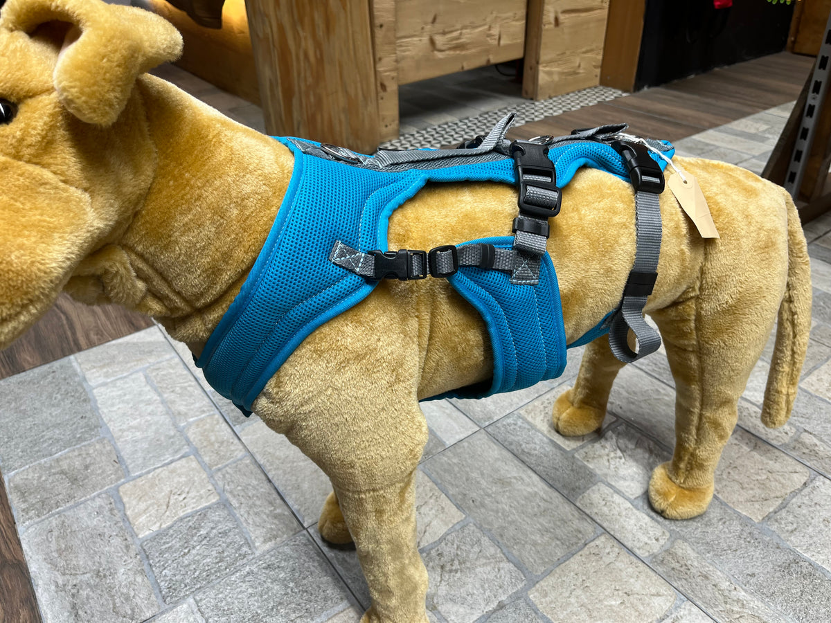 Hundegeschirr an großem Hundemodell