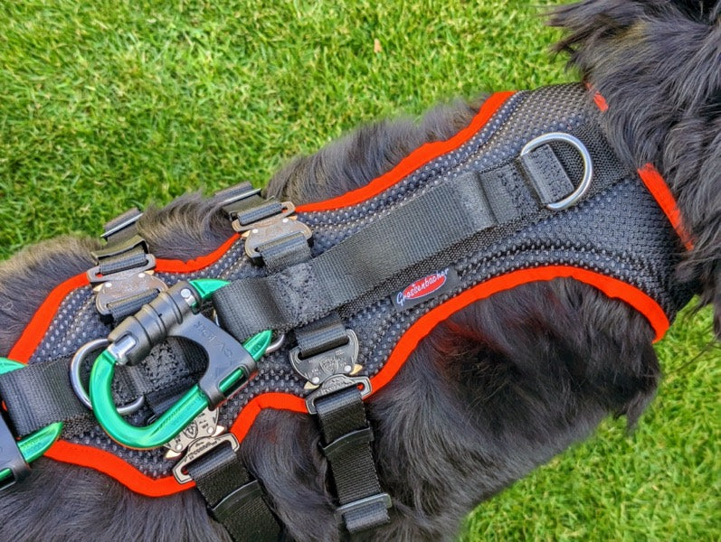 Hundegeschirr für große Hunde