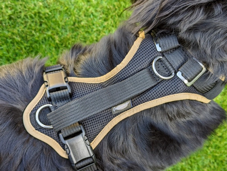 Grossenbacher Vary Standard Hundegeschirr, mitwachsend, an einem Hovawart